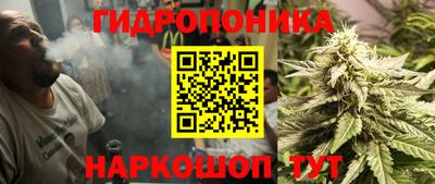 ПСИЛОЦИБИНОВЫЕ ГРИБЫ Лесосибирск