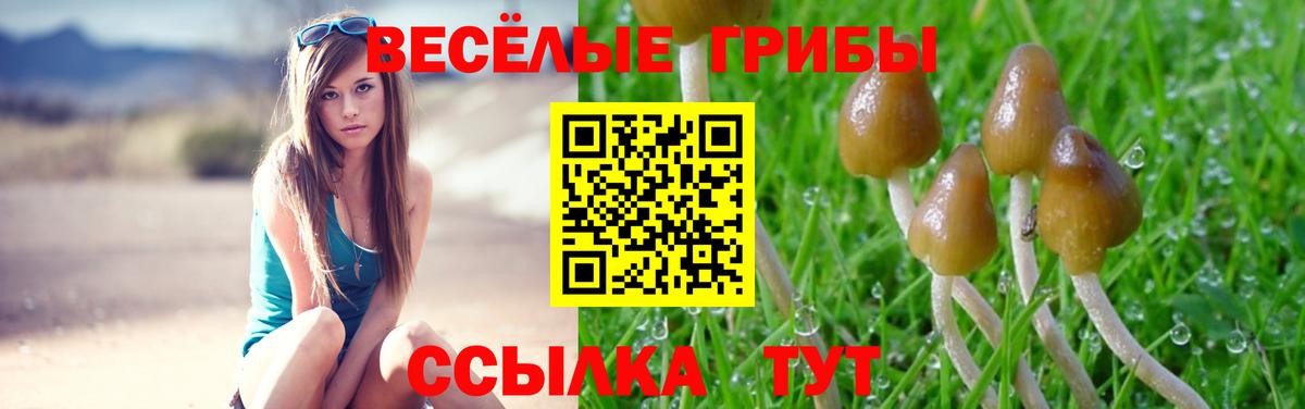 Галлюциногенные грибы MAGIC MUSHROOMS  Вход с VPN  Псилоцибиновые грибы MAGIC MUSHROOMS  Выкса 